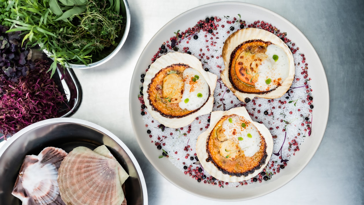 Jakobsmuscheln a la Parmigiana –  