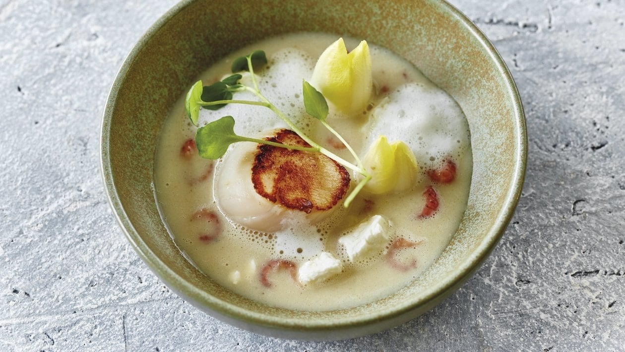 Chicorée-Suppe mit Jakobsmuscheln und Krabben