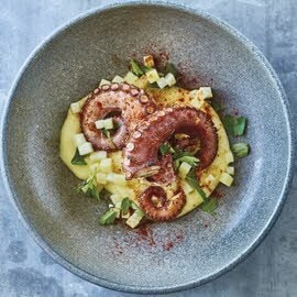 Gebratener Octopus mit Kartoffelmousseline und Petersilie Gebratener Octopus mit Kartoffelmousseline und Petersilie