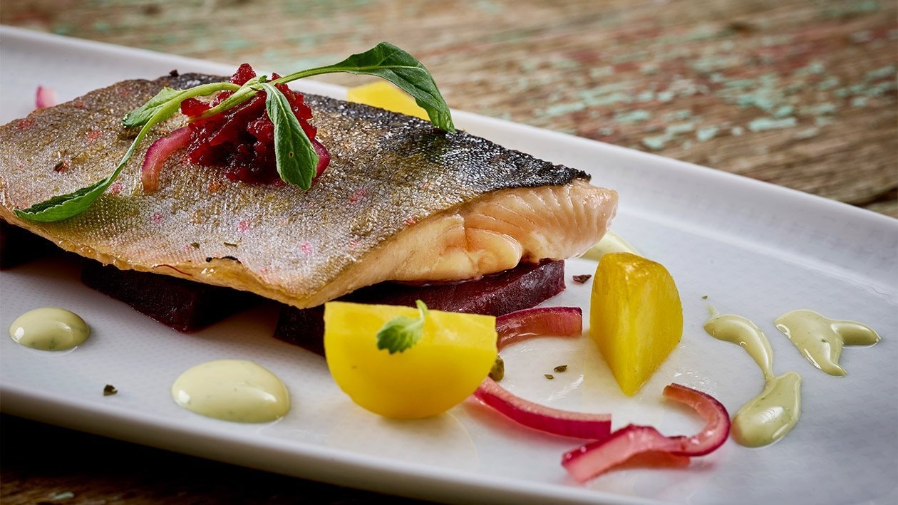 Saiblingsfilet mit eingelegten Beeten – Saiblingsfilet mit eingelegten Beeten –