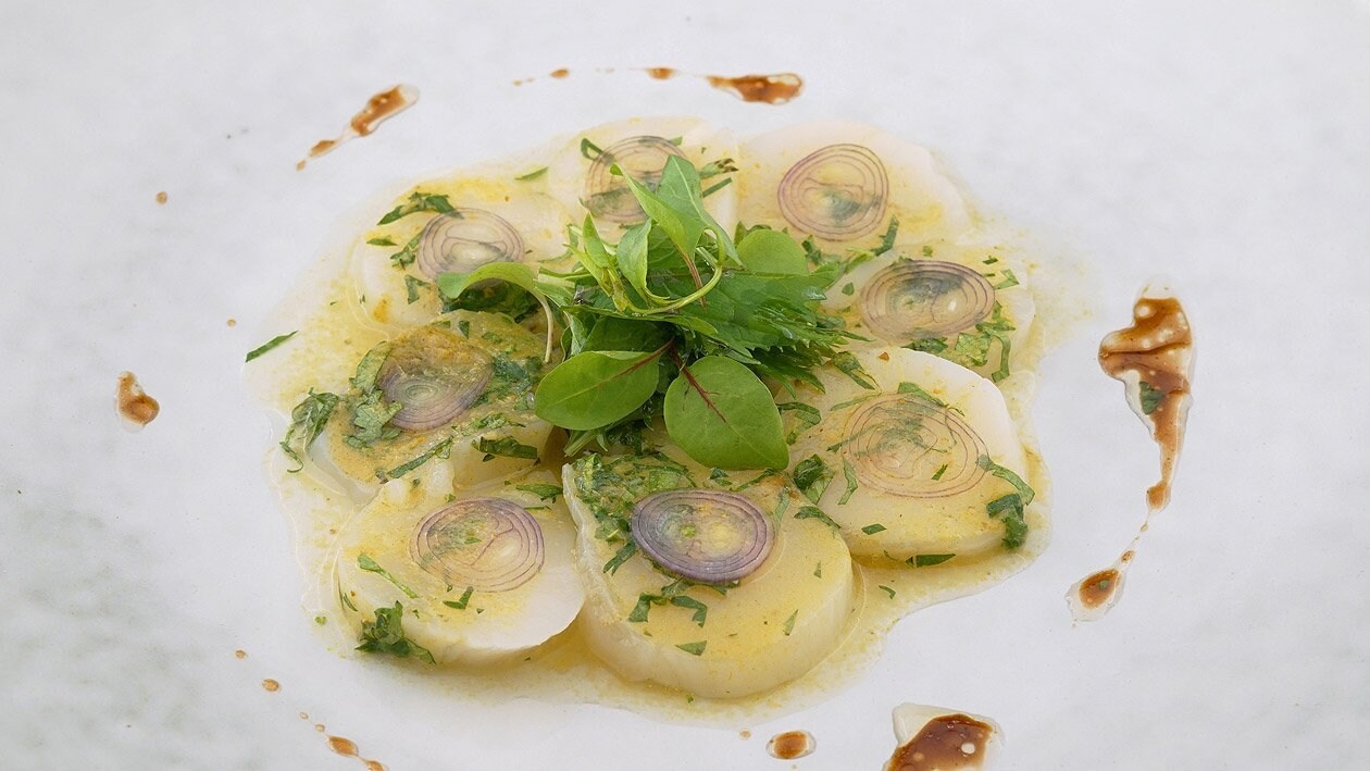 Jakobsmuschel Ceviche mit Thai-Marinade – Jakobsmuschel Ceviche mit Thai-Marinade –