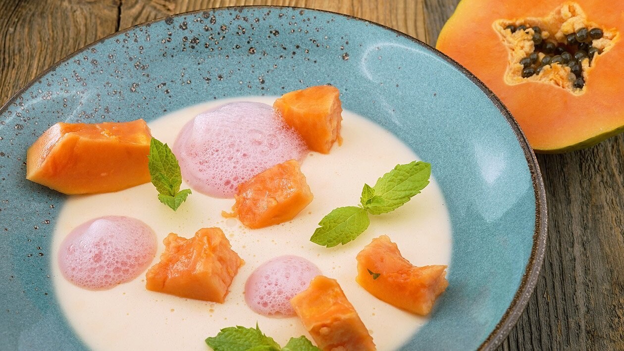 Papaya Kokosnuss Panna Cotta – Papaya Kokosnuss Panna Cotta –