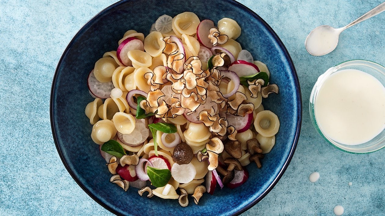 Orecchiette-Salat mit Radieschen, Pilzen und Rettich – Orecchiette-Salat mit Radieschen, Pilzen und Rettich –