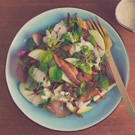 Salat Bowl mit lauwarmem Speck, geräucherten Zwiebeln, Cranberries und Apfel Salat Bowl mit lauwarmem Speck, geräucherten Zwiebeln, Cranberries und Apfel
