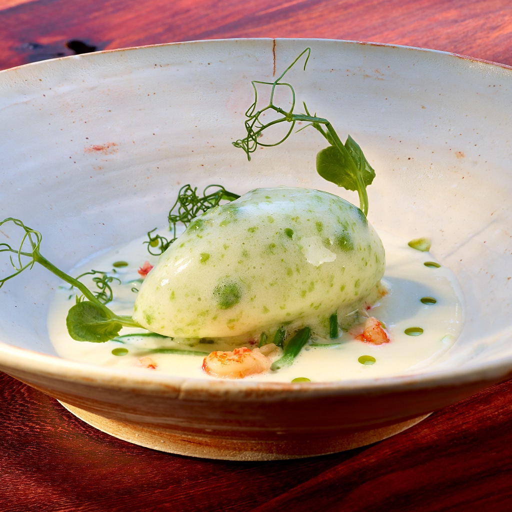 Buttermilch Spargelsuppe mit Erbsen Zitronen Sorbet Buttermilch Spargelsuppe mit Erbsen Zitronen Sorbet