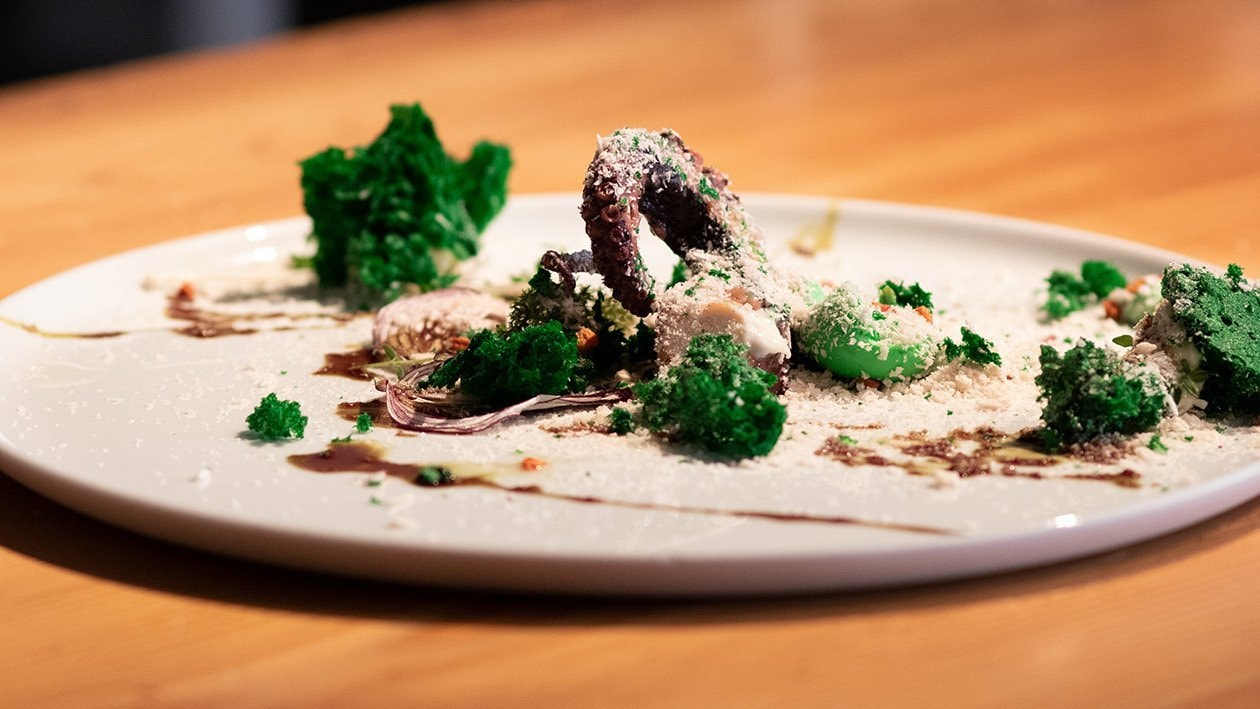 Octopus mit Algen –  