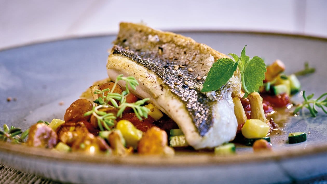 Loup de Mer mit Pfifferlingen und Tomaten – Loup de Mer mit Pfifferlingen und Tomaten –