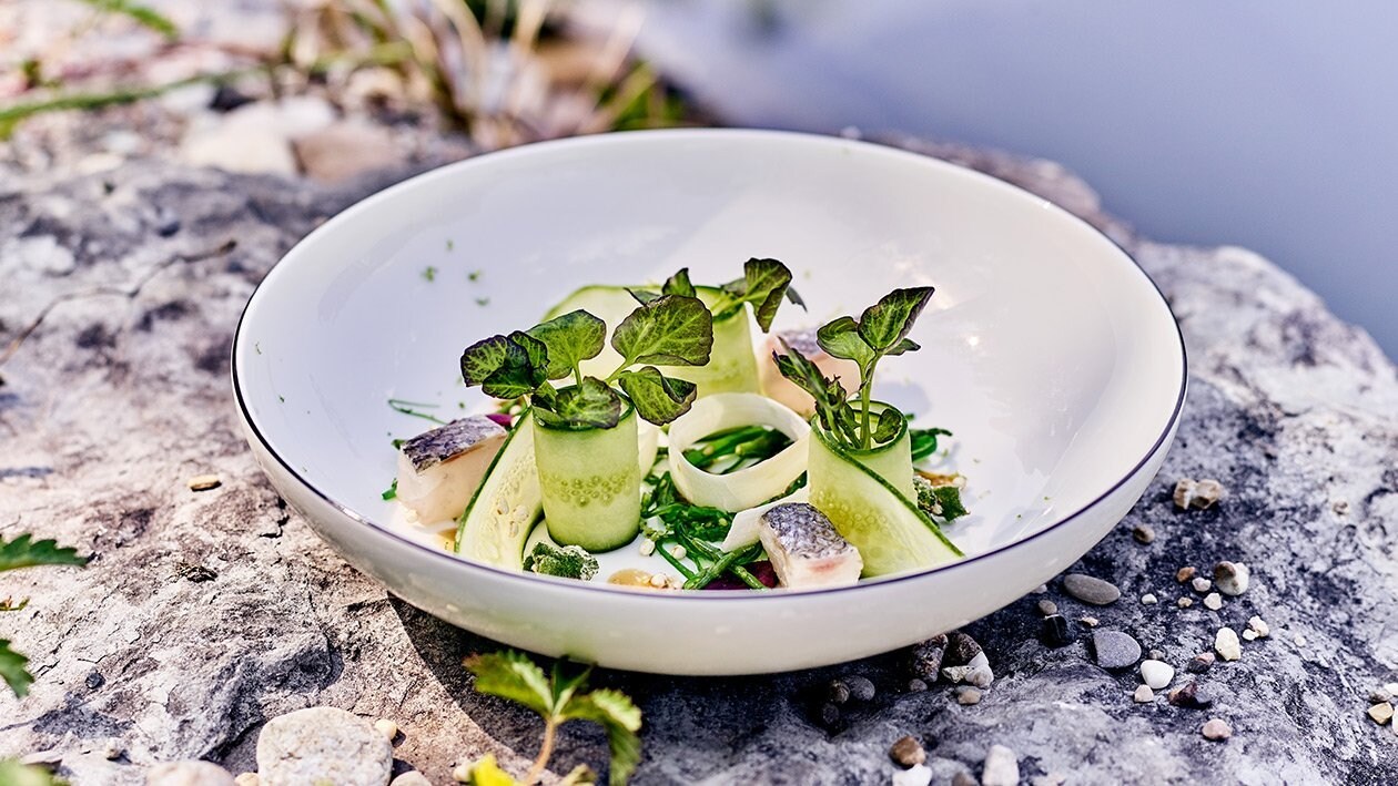 Ceviche vom Wolfsbarsch mit Salat von Algen und Quinoa in Sesam-Sojaemulsion – Ceviche vom Wolfsbarsch mit Salat von Algen und Quinoa in Sesam-Sojaemulsion –