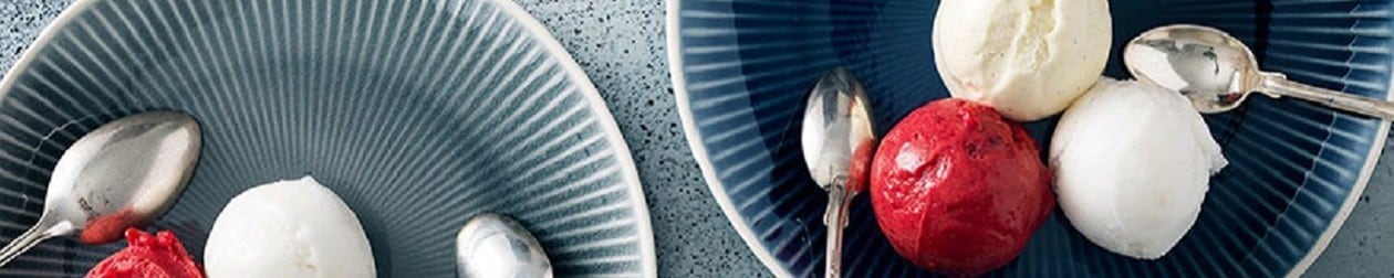 Ben & Jerry's für gastronomische Betriebe