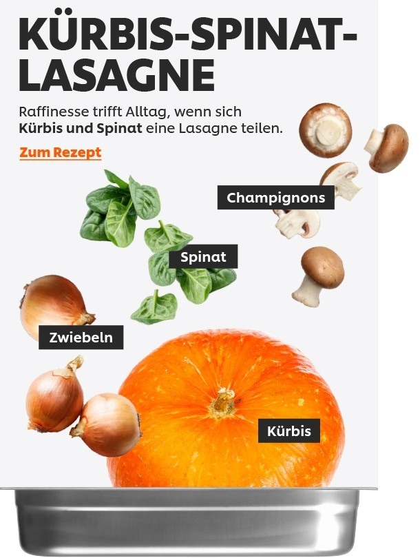 Kürbis-Spinat-Lasagne Kürbis-Spinat-Lasagne