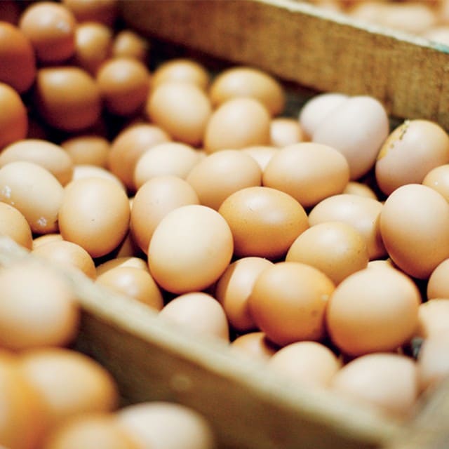 Lebensmittel Kalkulation 