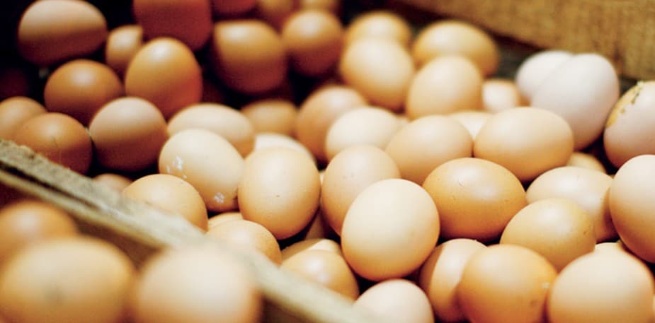 Lebensmittel Kalkulation 