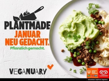 Inspirationsfolder Plantmade Veganuary