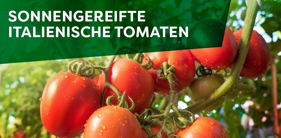 Sonnengereifte italienische Tomaten Sonnengereifte italienische Tomaten