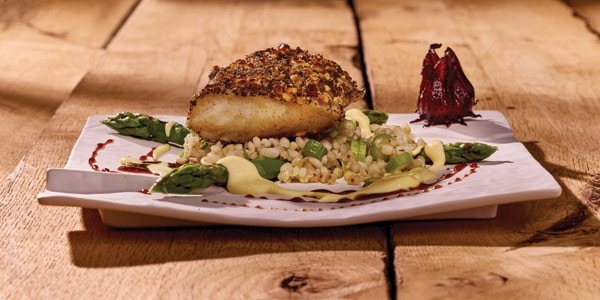 Kabeljau in der Haselnuss-Mohnkruste, Soja-Hibiskus Hollandaise, und Espresso-Graupen