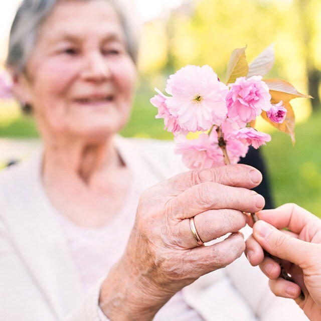Frühlingslieder und Gedichte