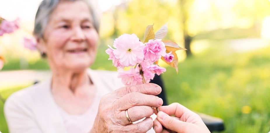 Frühlingslieder und Gedichte