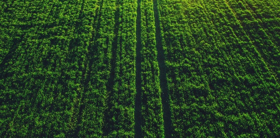 Nachhaltigkeit bei Unilever Food Solutions