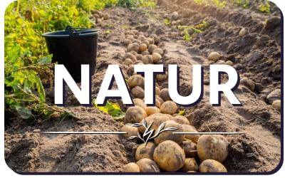Teaser Natur und Ressourcen Teaser Natur und Ressourcen