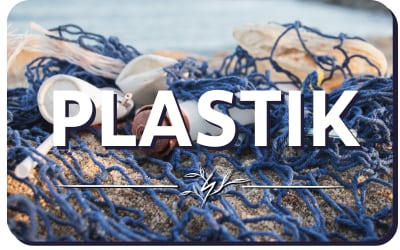 Teaser Plastik Teaser Plastik